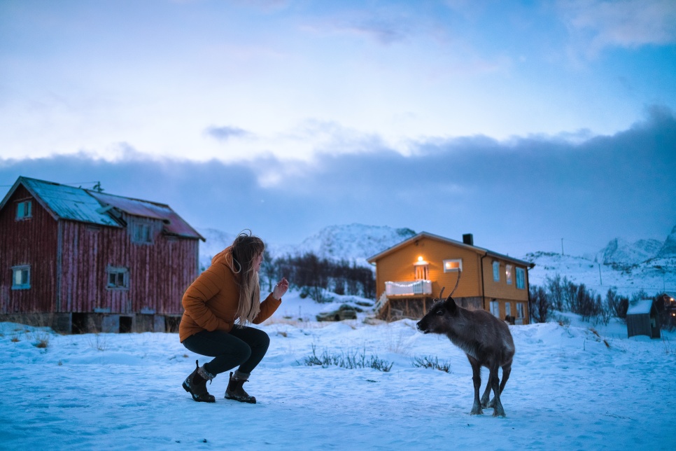 A person crouched down facing a small reindeer. The ground is covered in snow and there are two wooden houses in the background, one of the houses is lit up with lights.