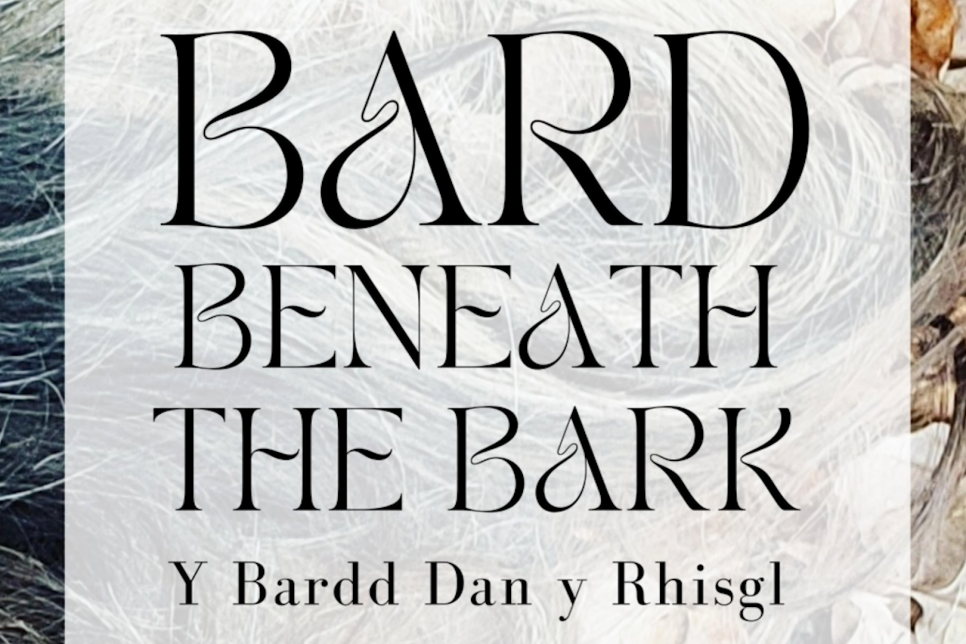 Bard Beneath The Bark text 