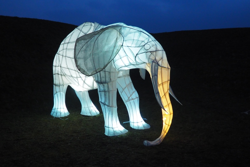 Large, illuminated paper lantern in the shape of an elephant.