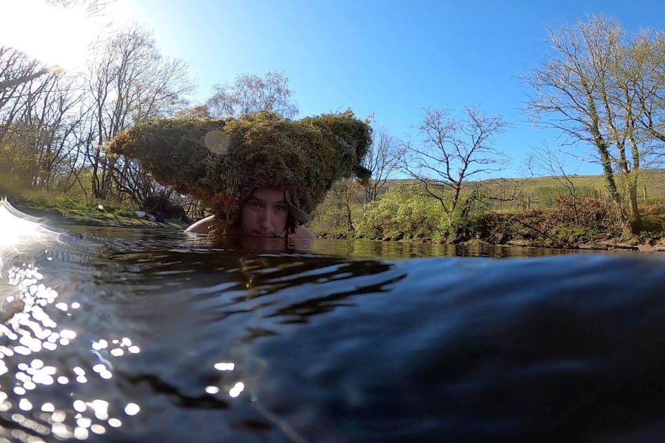 A river, with a person's face in a tree