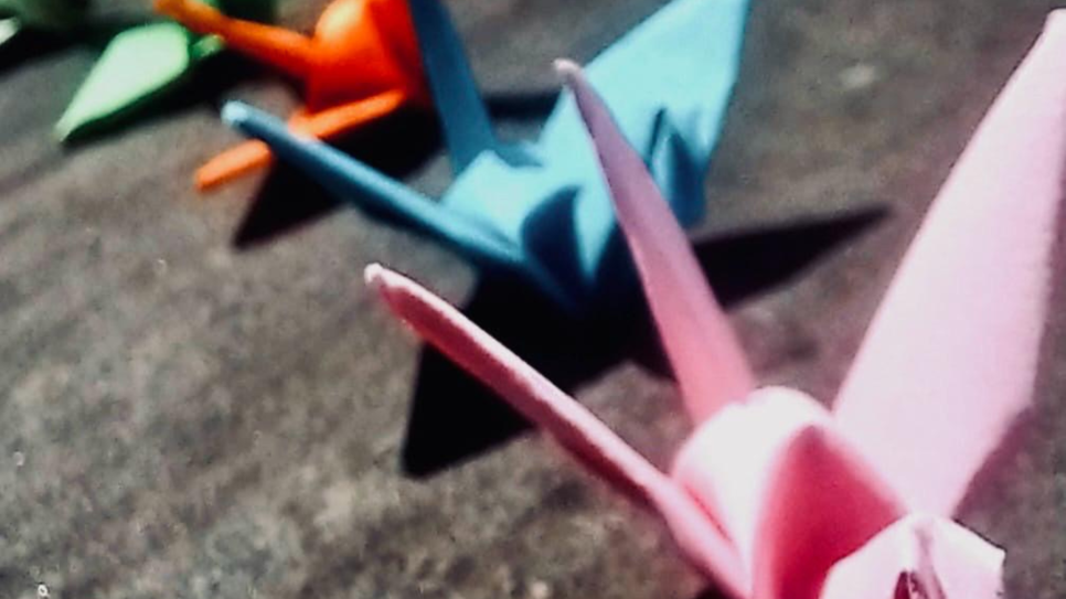 Pink, blue, orange and green paper cranes